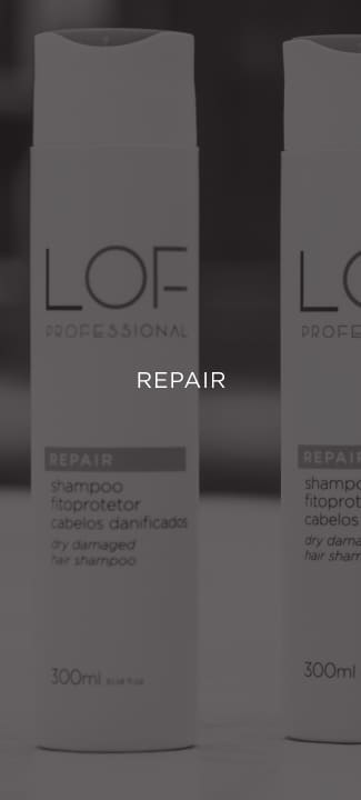 Image showing the product type of the repair category
